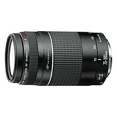 Canon EF 75-300mm f/4.0-5.6 III USM