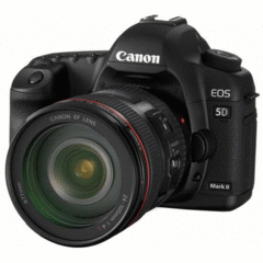 Canon EOS 5D Mark II with EF 24-105 f/4L Kit