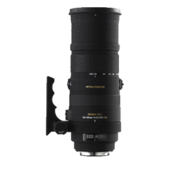 Sigma 150-500mm F5-6.3 DG OS for Nikon