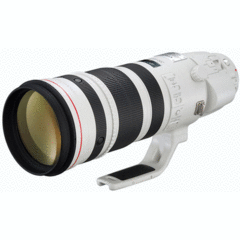 Canon EF 200-400mm f/4L IS USM Extender 1.4x