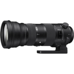 Sigma Sports 150-600mm f/5-6.3 DG OS HSM for Nikon F