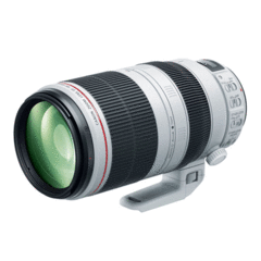 Canon EF 100-400mm f/4.5-5.6L IS II