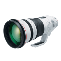 Canon EF 400mm f/2.8L IS III USM