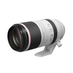Canon RF 100-500mm F4-7.1L IS USM