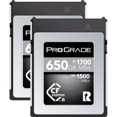 ProGrade Digital 650GB CFexpress 2.0 Type B Cobalt (2-Pack)