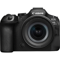 Canon EOS R6 Mark III with 24-105mm f/4-7.1