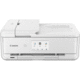 Pixma TS9521Ca Wireless All-in-One Inkjet Printer (White)